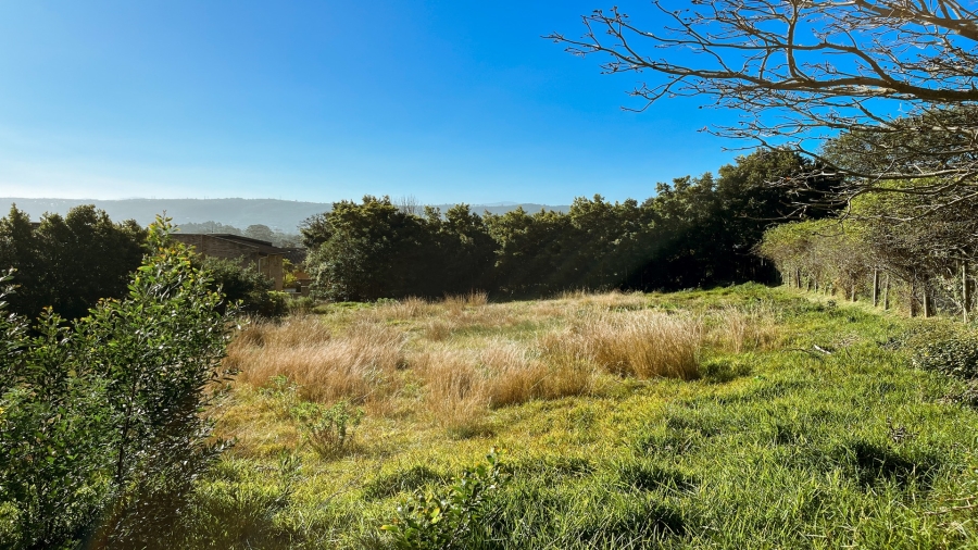 0 Bedroom Property for Sale in Rexford Western Cape